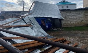 В Татарстане подсчитывают ущерб после урагана и града в Буинском районе