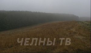 В Татарстане сегодня ожидается туман и +21 градус тепла