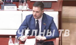 Депутат Нигматулин предложил внедрить господдержку резидентов будущего кластера Wildberries