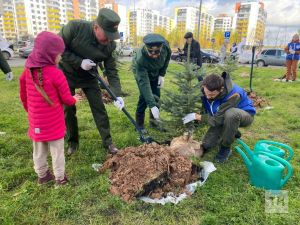 В Казани в 2024 году на озеленение потратят 31 миллион рублей