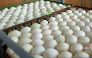 ФАС запретила производителям яиц поднимать цены перед Пасхой