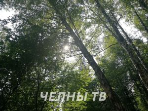 В Татарстане снова прогнозируется до +28°, туман и дожди