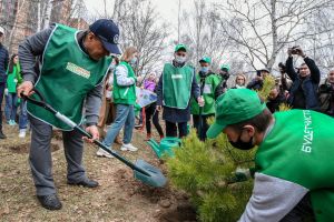 Раис Татарстана Рустам Минниханов посадил деревья на республиканском субботнике