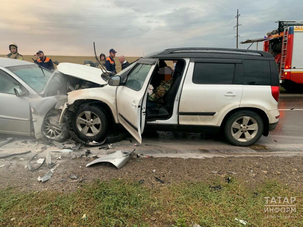 При ДТП на трассе в Татарстане погибли мать и дочь