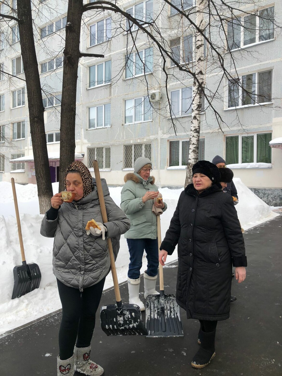 Жители Набережных Челнов вызвались помочь дворникам чистить снег во дворах