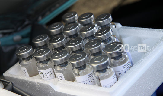 В Татарстане за сутки выявлено 63 новых случая коронавируса