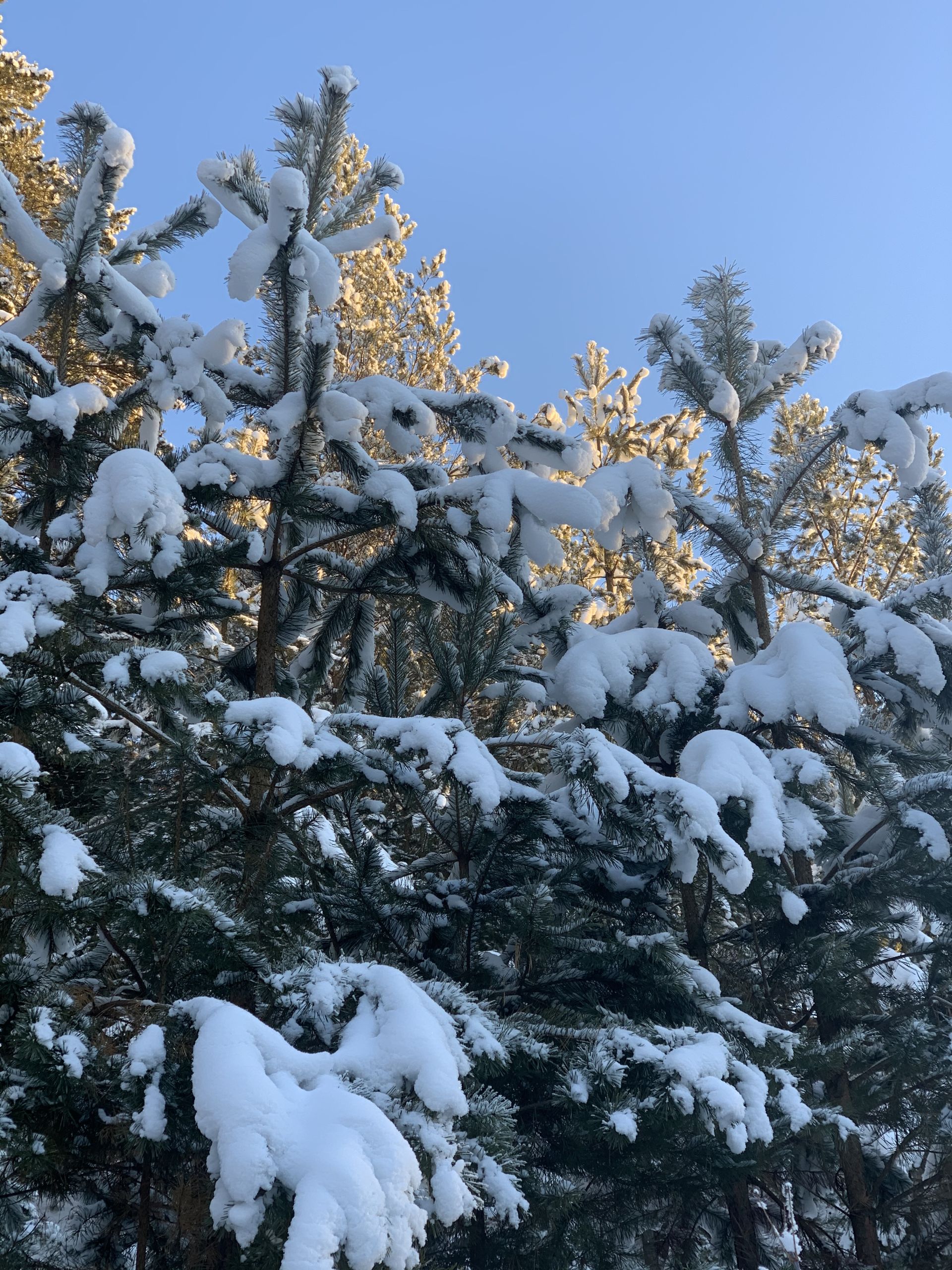 Потепление и слабый снег: татарстанцам рассказали о погоде в ближайшие дни