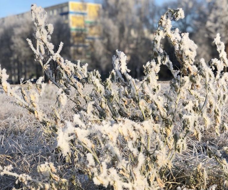 В Гидрометцентре РФ предупреждают о сильном похолодании в Татарстане