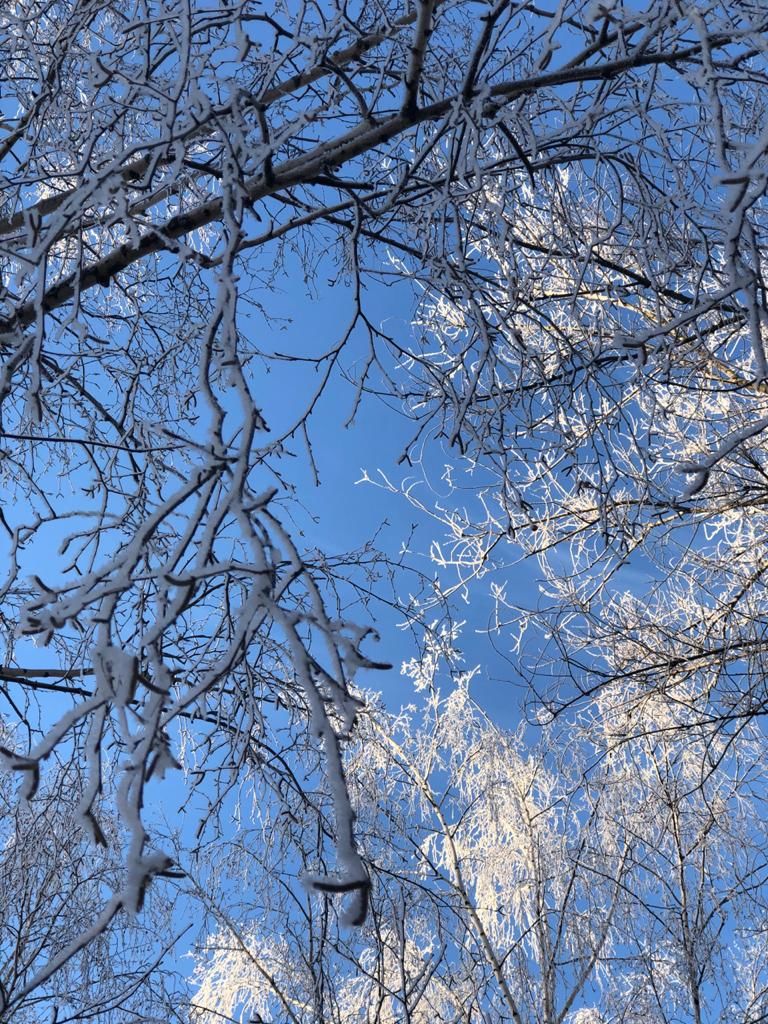 В Татарстане к выходным ударят 30-градусные морозы