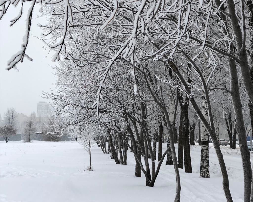 В&nbsp;Татарстане Гидрометцентр предупредил об&nbsp;аномальных 34-градусных морозах