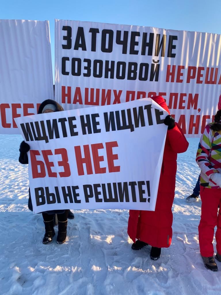 Жители Челнов вышли на&nbsp;пикет по&nbsp;освобождению риелтора Албины Созоновой