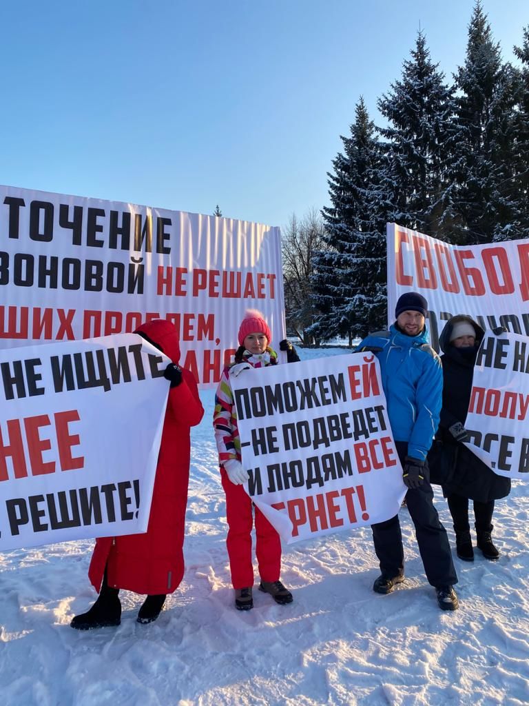 Жители Челнов вышли на&nbsp;пикет по&nbsp;освобождению риелтора Албины Созоновой