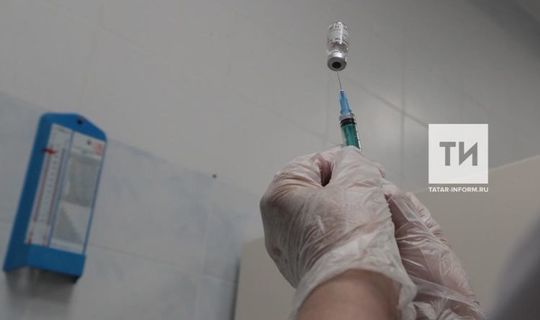 В&nbsp;Татарстане на&nbsp;портале госуслуг открыта онлайн-запись на&nbsp;вакцинацию от&nbsp;COVID-19