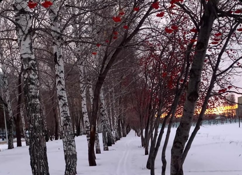 В Татарстане ожидается сильный ветер и мокрый снег