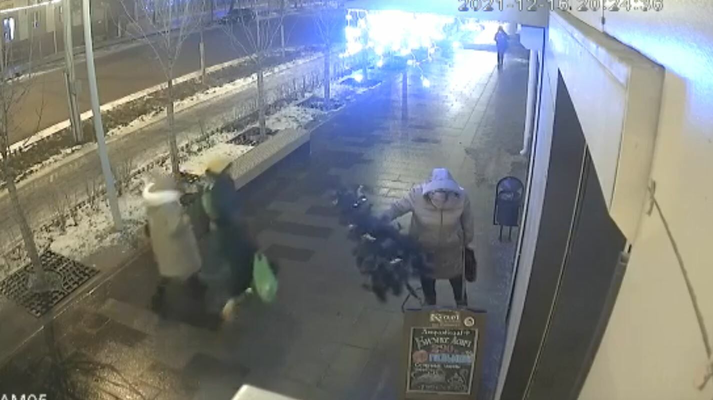 В&nbsp;Татарстане на видео попал момент воровства женщиной елки у входа в кафе