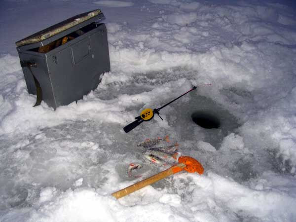 Челнинских рыбаков сравнили с браконьерами из-за оставленной на льду пойманной мелкой рыбы