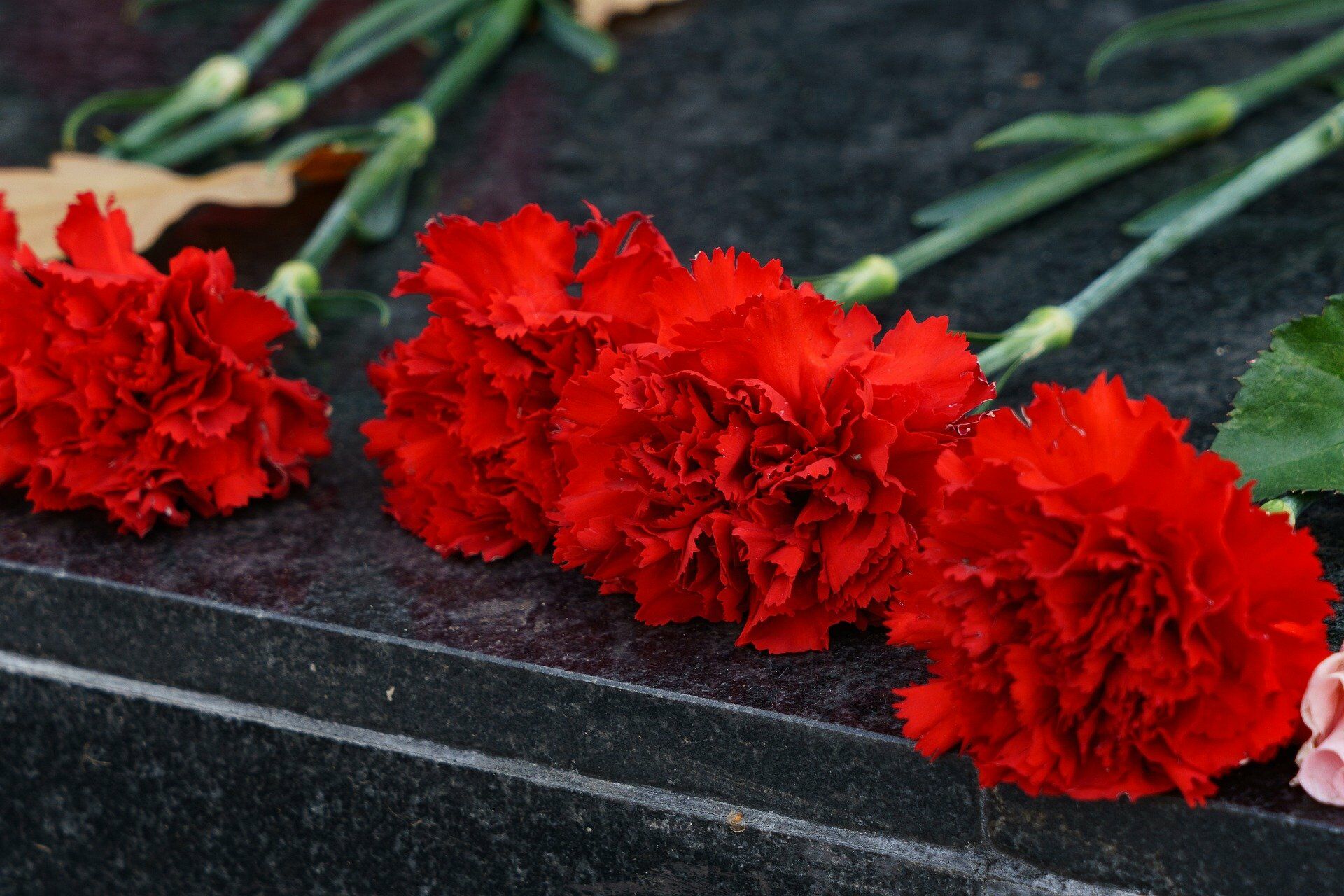 Челнинцев приглашают почтить память погибших в Чечне