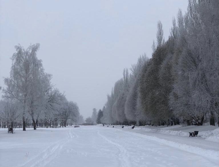 В&nbsp;Татарстане прогнозируются снег и&nbsp;до&nbsp;19&nbsp;градусов мороза