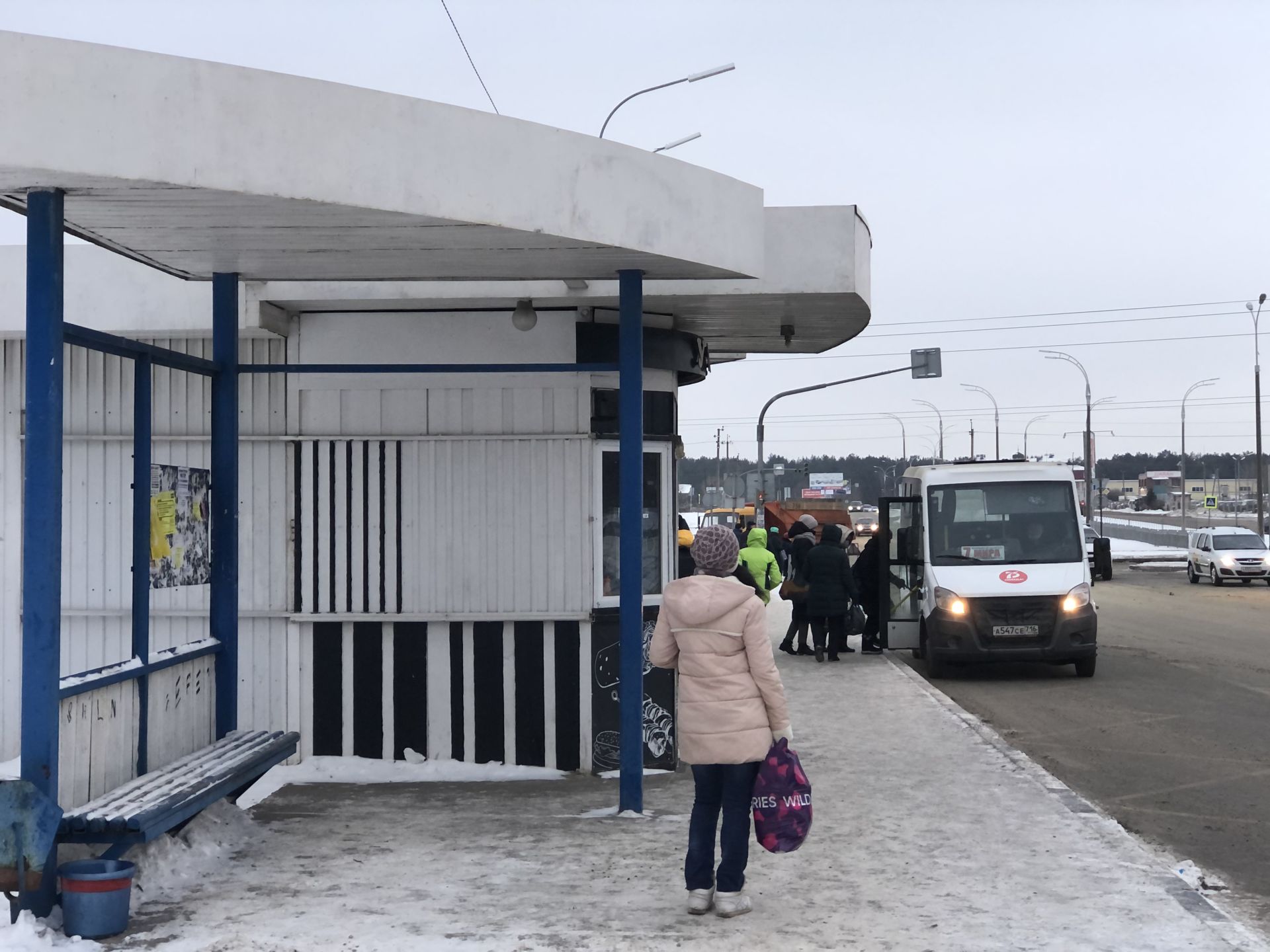 В&nbsp;Татарстане возбуждено дело после жалобы жителей поселка «Подсолнухи» на&nbsp;отсутствие транспорта
