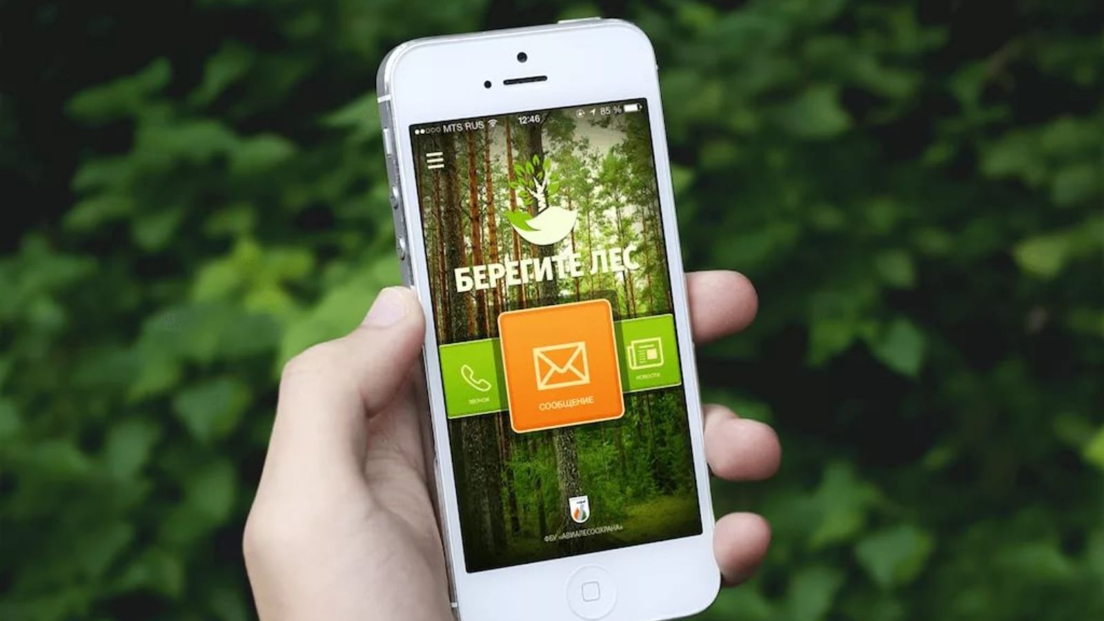 В Татарстане заработало мобильное приложение «Берегите лес»