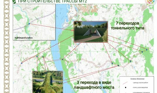 В Татарстане на М12 планируют соорудить десять переходов для животных