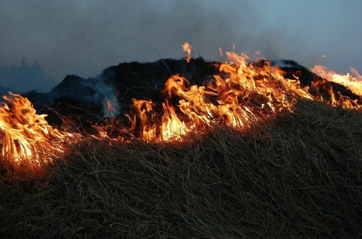 В Татарстане за четыре дня майских праздников пожары унесли жизни  десяти человек
