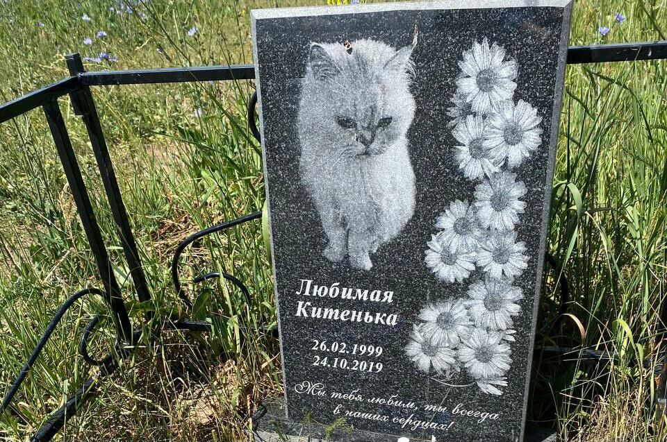 Настоящее кладбище домашних животных обнаружено в Челнах