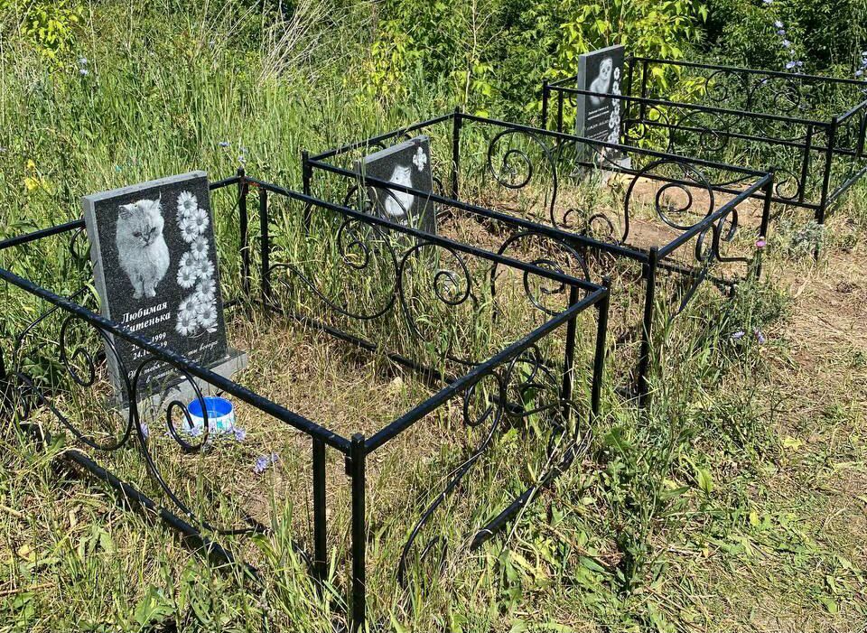Настоящее кладбище домашних животных обнаружено в Челнах