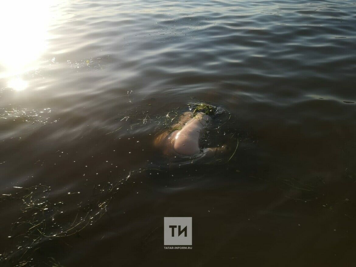 В&nbsp;Каме, около одного из&nbsp;пляжей Челнов, обнаружено тело утонувшего мужчины