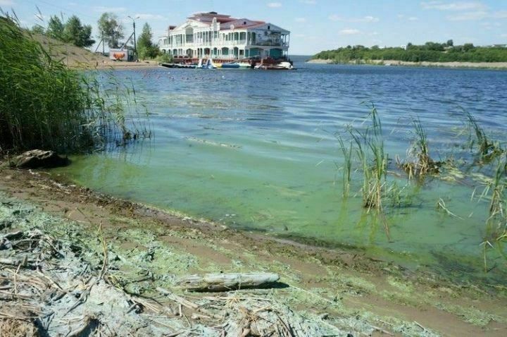 Ярко зеленая вода у набережной Тукая: что слили в Каму или причина в водорослях