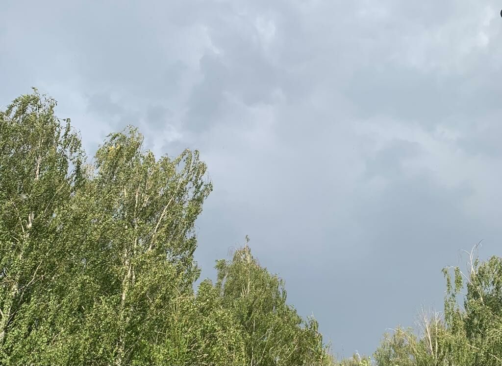Под Казанью жители села Богородское засняли на видео ураганный ветер с дождем