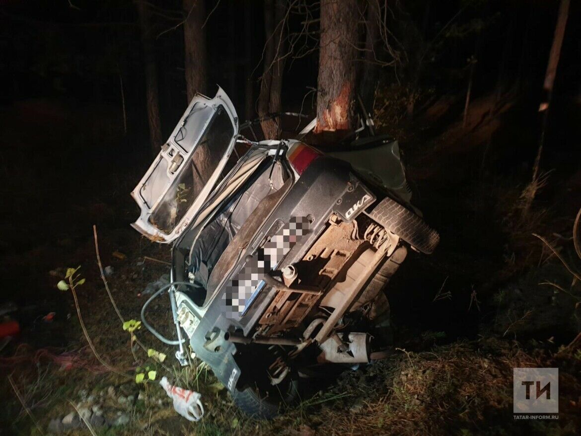 В Челнах «ОКА» врезалась в дерево, погиб водитель