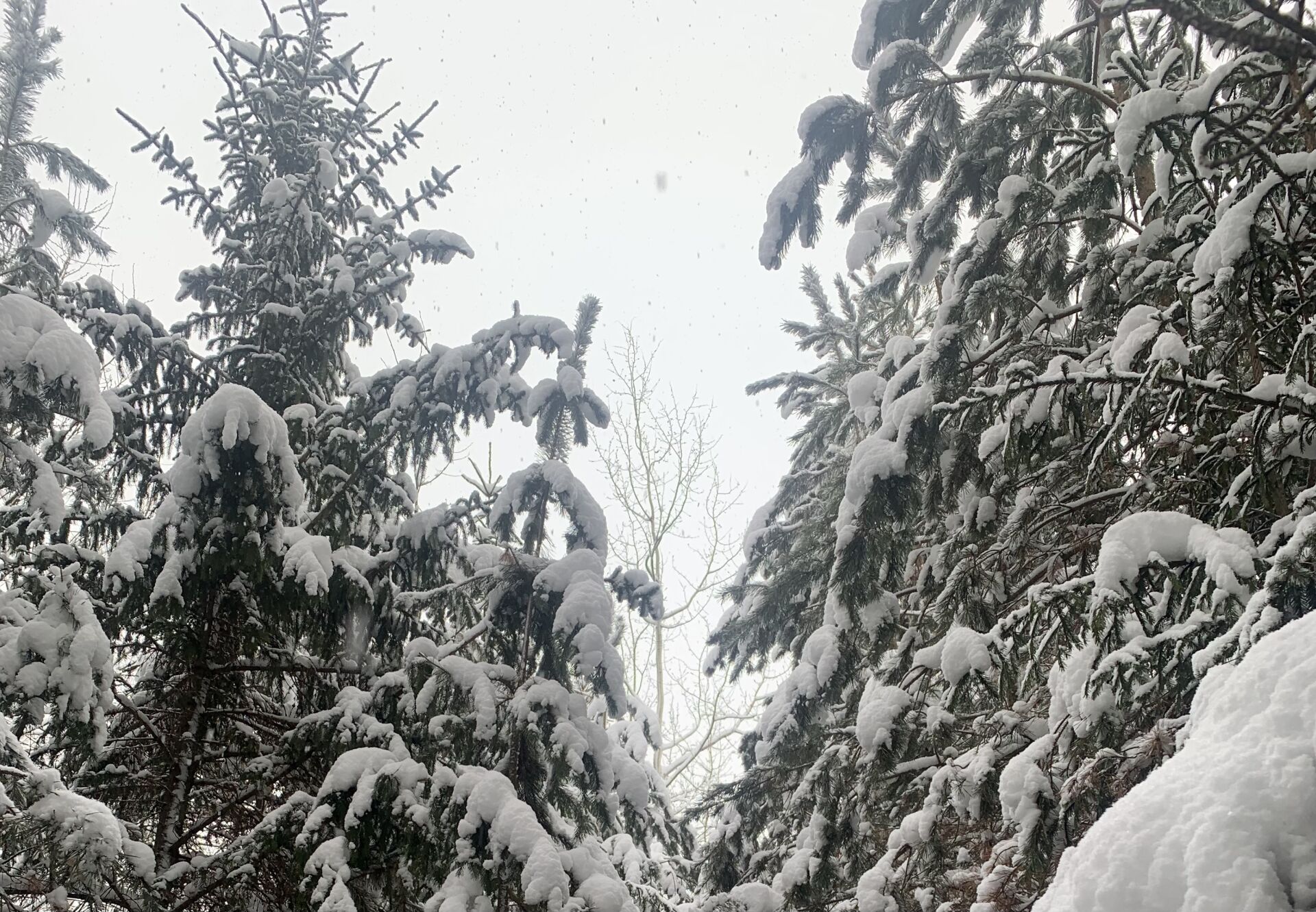 На выходных в Татарстане прогнозируются метель с ухудшением видимости и снежные заносы
