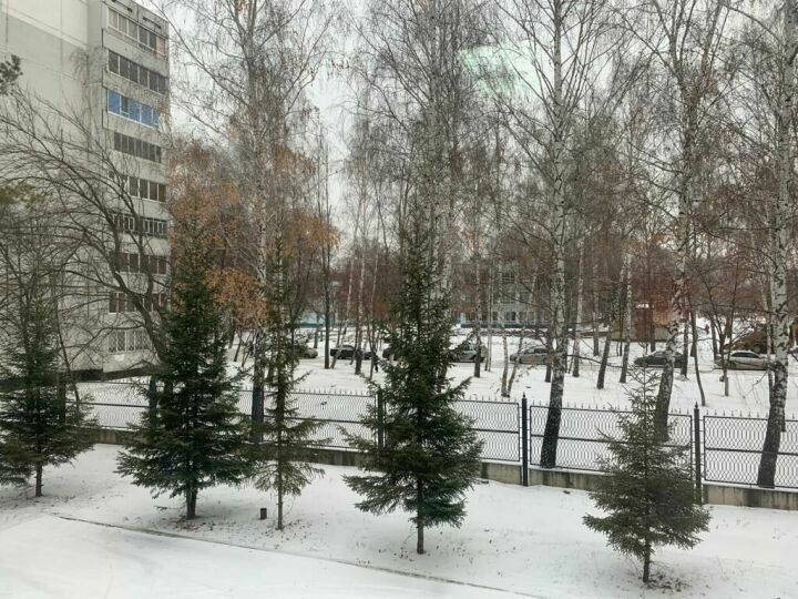В Татарстане 25 января ожидается туман