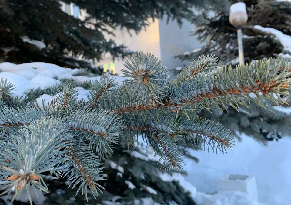 В Татарстане прогнозируется мороз до −20˚