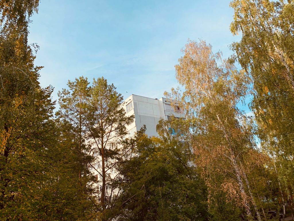 В начале недели в Татарстане прогнозируются дожди