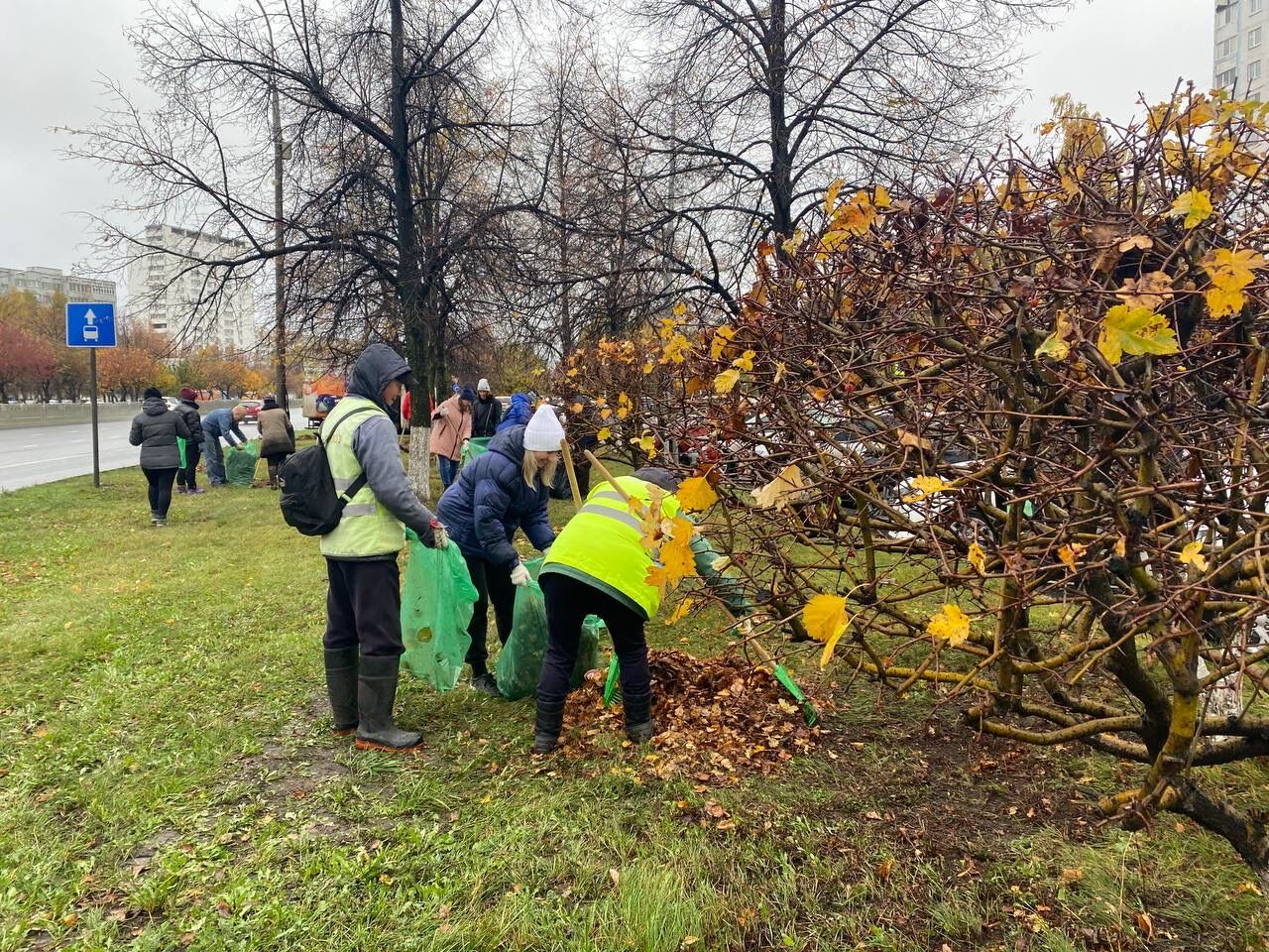 В&nbsp;рамках субботника в&nbsp;Челнах вывезено 8&nbsp;машин с&nbsp;мусором