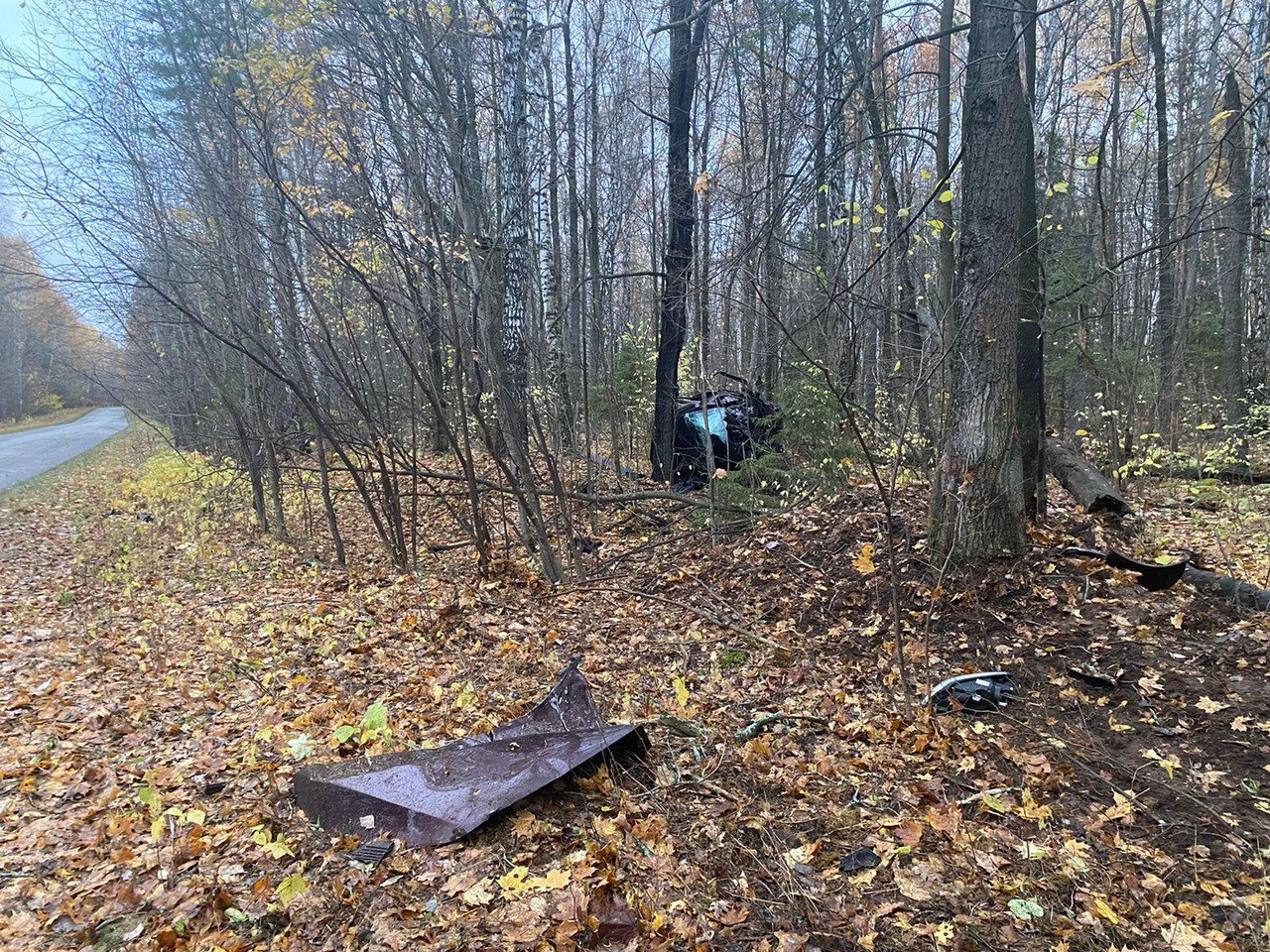 В Боровецком лесу под Челнами 24-летний водитель погиб, вылетев с&nbsp;дороги в&nbsp;кювет