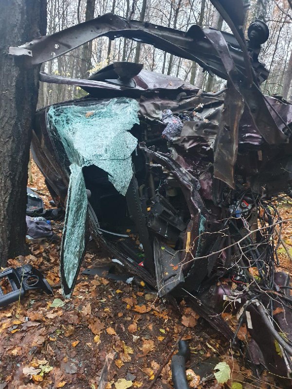 В Боровецком лесу под Челнами 24-летний водитель погиб, вылетев с&nbsp;дороги в&nbsp;кювет