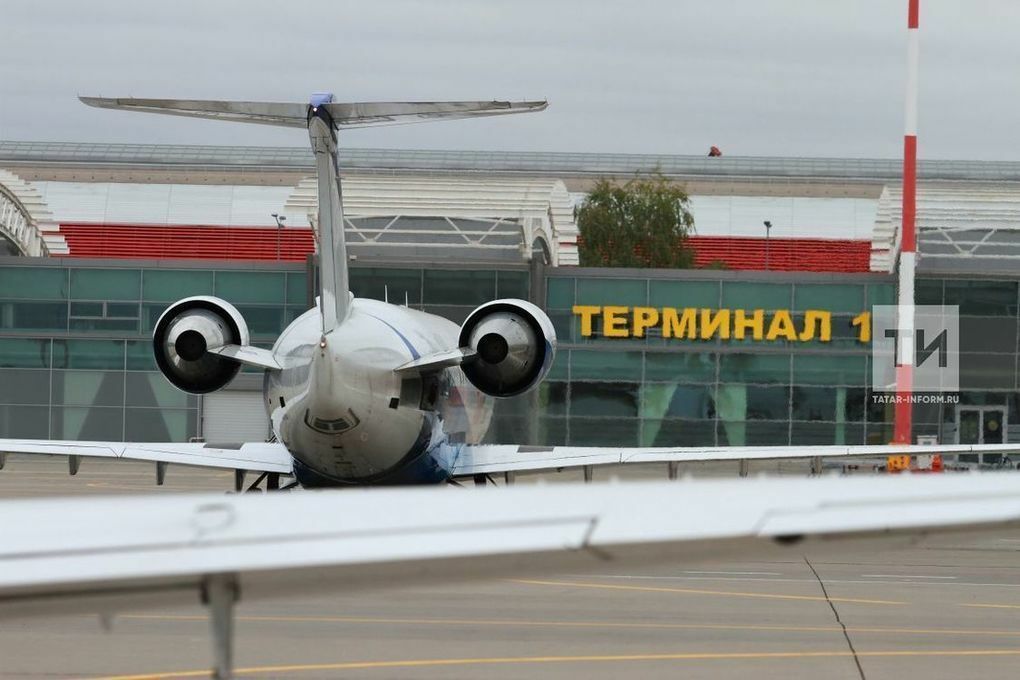Самолет сбил зайца в&nbsp;аэропорту Казани