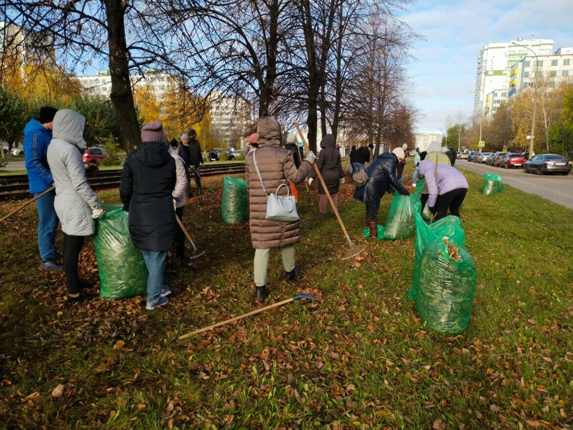 В рамках субботника в Челнах горожане высадили 13 тысяч деревьев