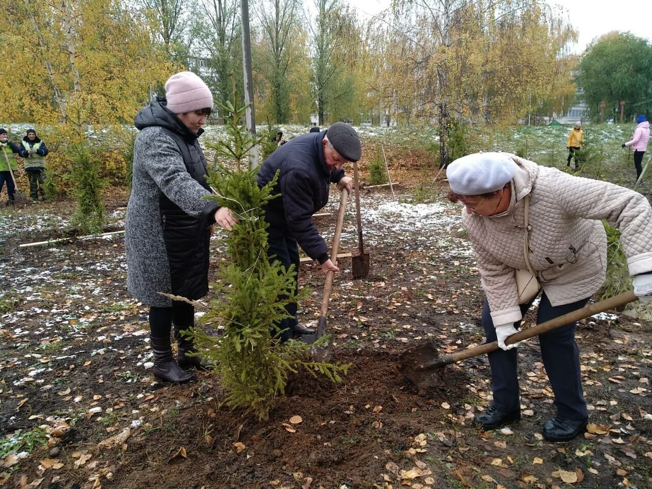 Челнинцы в рамках субботника высадили 330 деревьев