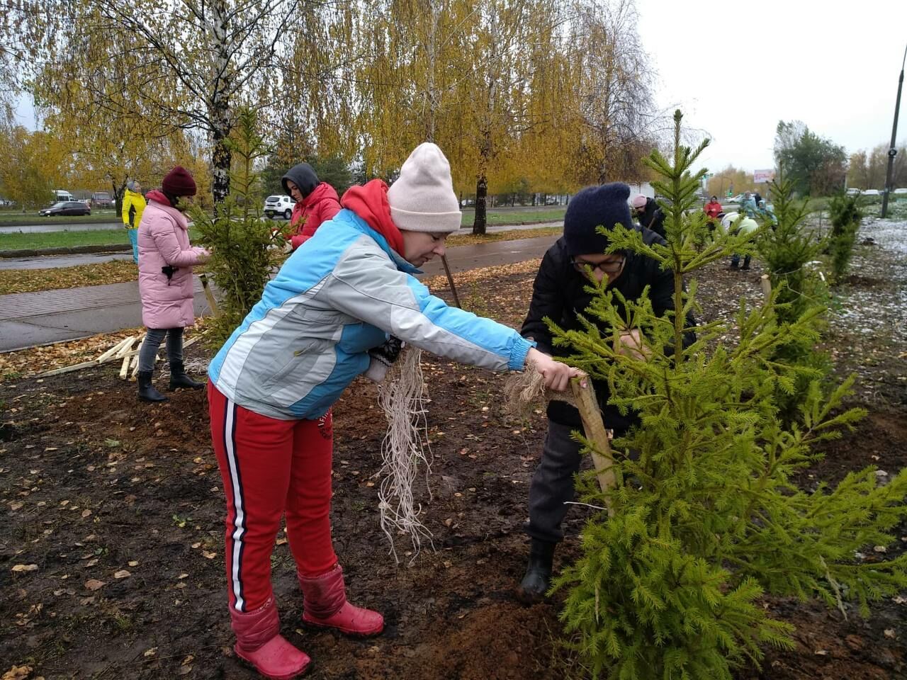 Челнинцы в рамках субботника высадили 330 деревьев