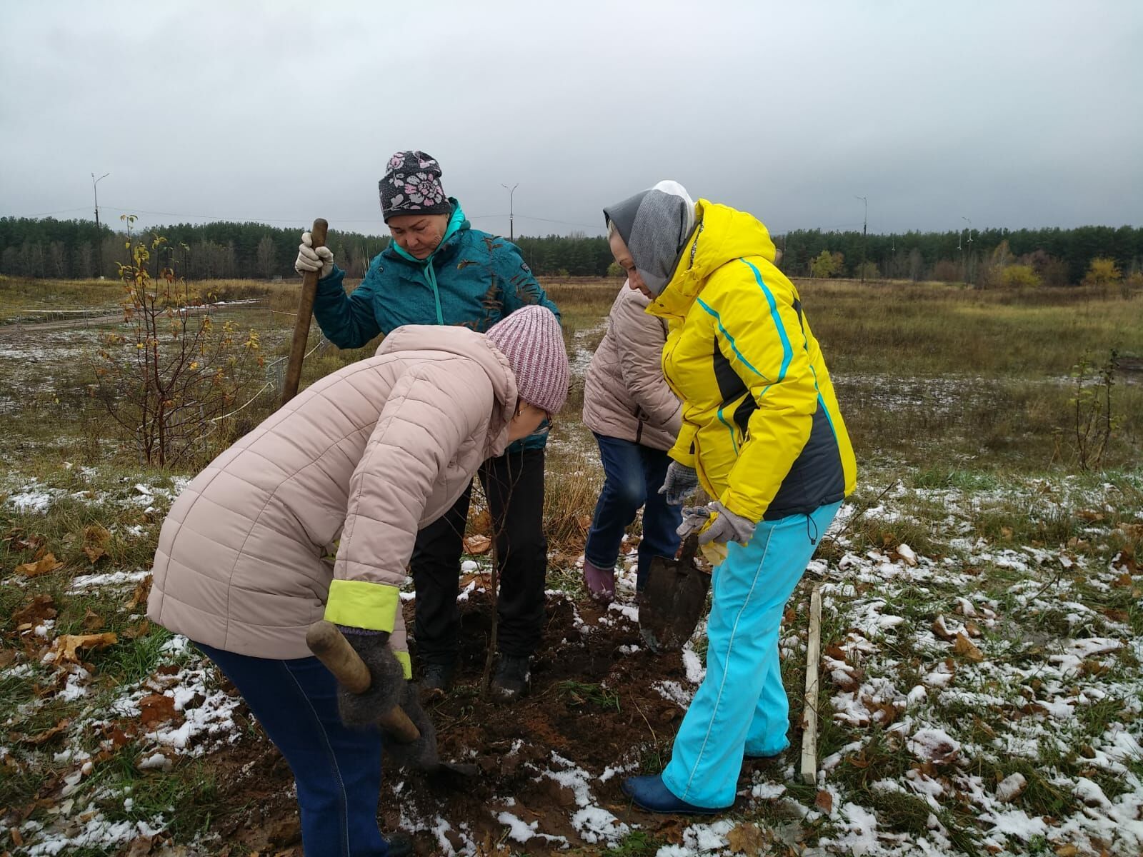 В&nbsp;Челнах в&nbsp;осенний период высажено 22&nbsp;913 деревьев