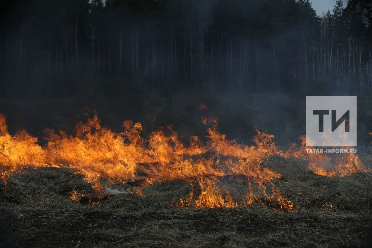 Непотушенная сигарета стала причиной пожара на поле в Татарстане