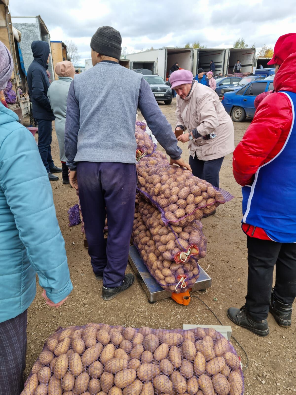 В&nbsp;Челнах на&nbsp;ярмарки было завезено 1,2 тонн продукции