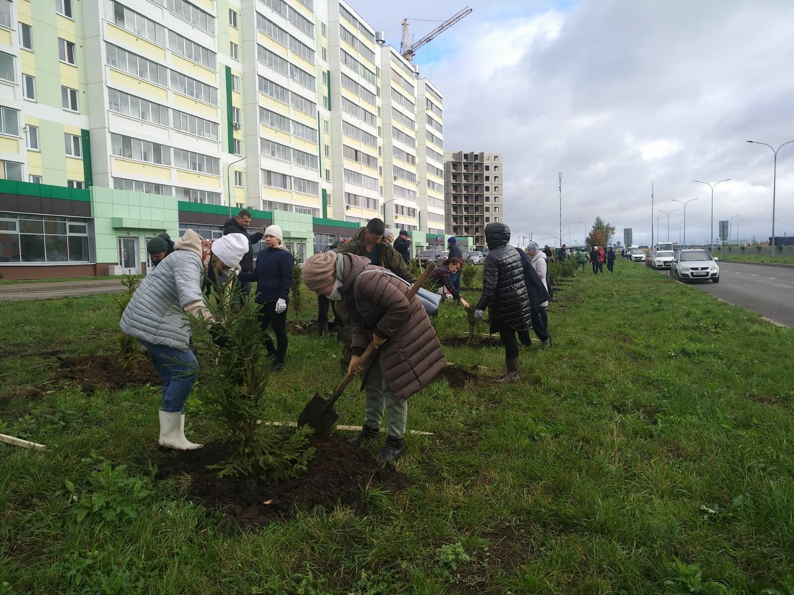Студенты КФУ посадили саженцы деревьев на&nbsp;обновлённой улице Шамиля Усманова