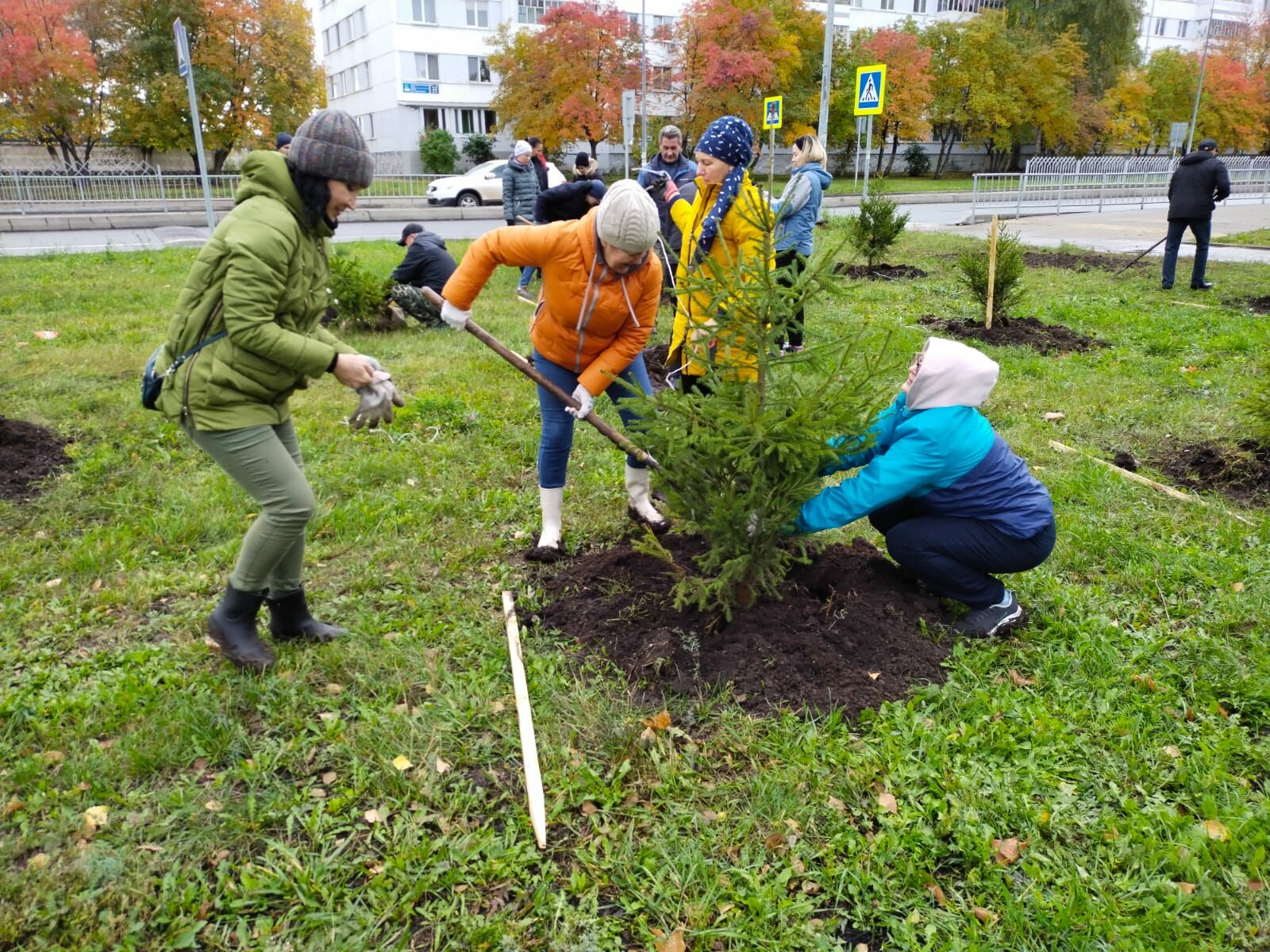 Студенты КФУ посадили саженцы деревьев на&nbsp;обновлённой улице Шамиля Усманова