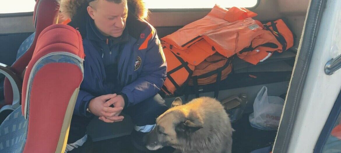 На Волге в Татарстане сотрудники МЧС спасли собаку, провалившуюся под лед