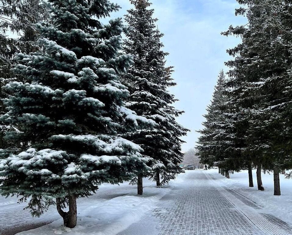 В&nbsp;Татарстане ожидаются морозы до −25° и&nbsp;метель